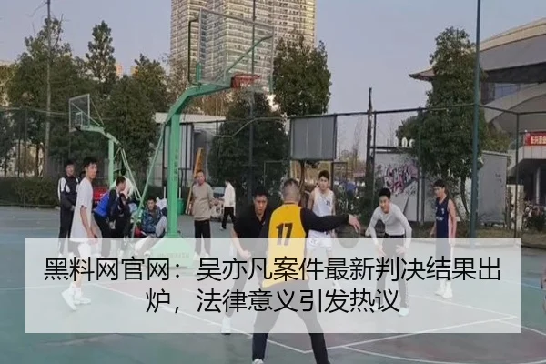 hei-liao-wang-guan-wang-wu-yi-fan-an-jian-zui-xin-pan-jue-jie-guo-chu-lu-fa-lv-yi-yi-yin-fa-re-yi-2-258.jpg